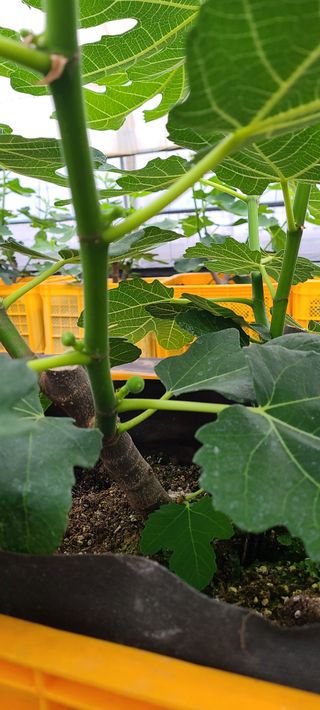 정오농장님의 자유주제 · 자유게시판 작성글 사진