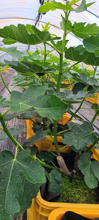 정오농장님의 자유주제 · 자유게시판 작성글 사진