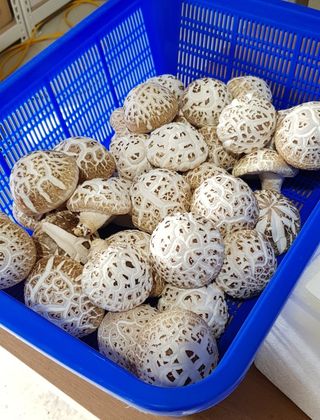 양파님의 작성글 사진