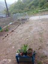 팜모닝 자유주제·자유게시판 게시글 이미지