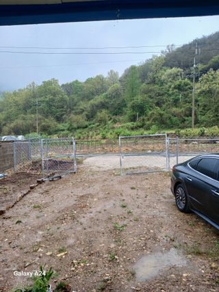 이상애초보농업님의 자유주제 · 자유게시판 작성글 사진