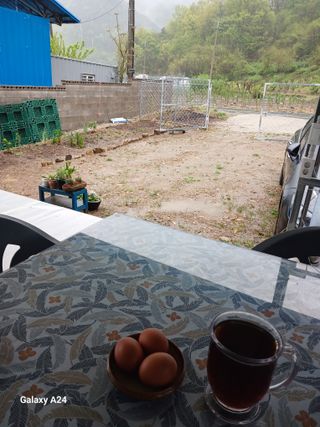 이상애초보농업님의 자유주제 · 자유게시판 작성글 사진