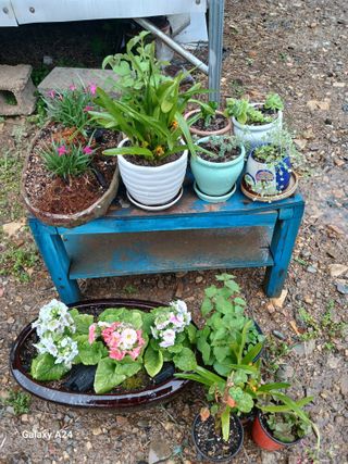 이상애초보농업님의 자유주제 · 자유게시판 작성글 사진