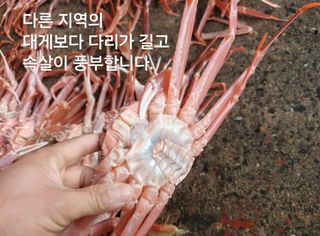 노가네수산님의 자유주제 · 사진전 작성글 사진