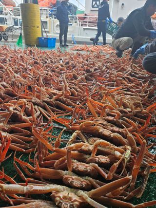 노가네수산님의 자유주제 · 사진전 작성글 사진