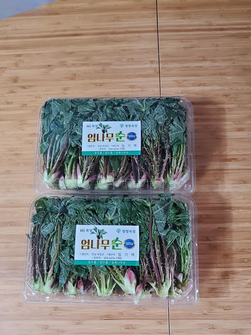 장터 상품 [엄나무순 1kg.(판매완료)] 썸네일