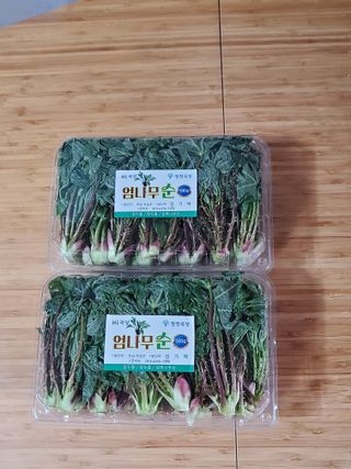 족장님의 작성글 사진