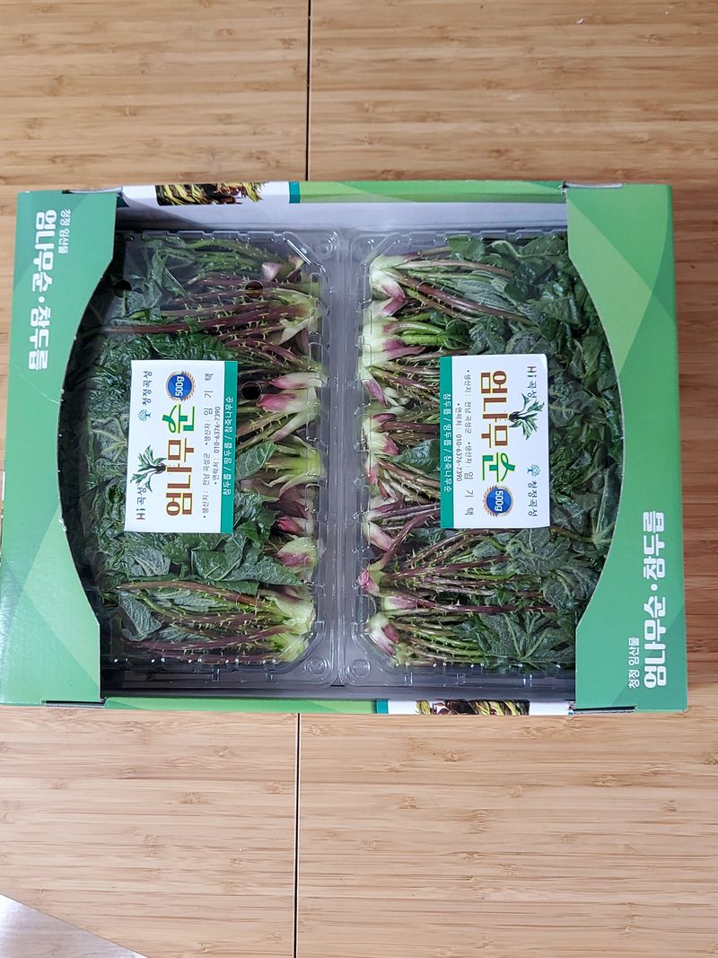 족장님의 장터 판매 상품 [엄나무순 1kg.(판매완료)] 첨부 사진