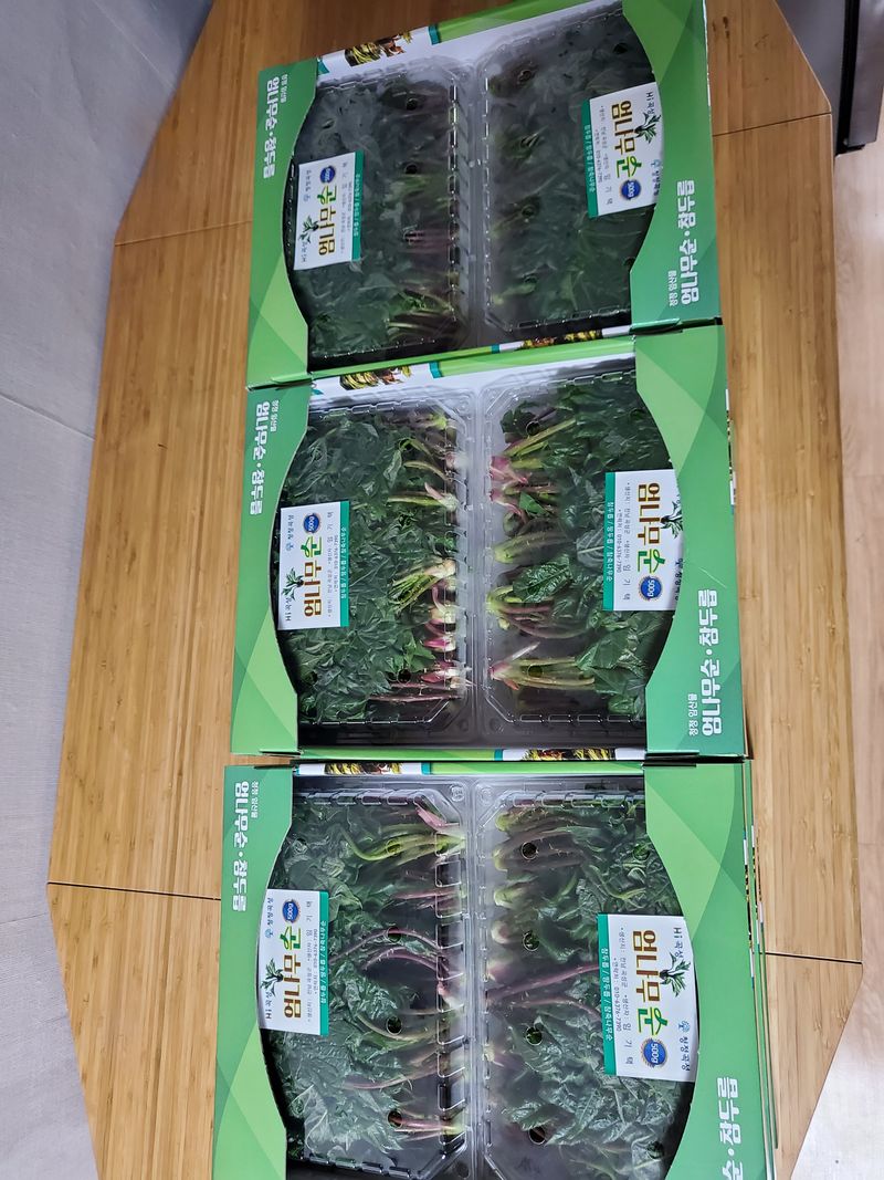 족장님의 장터 판매 상품 [엄나무순 1kg.(판매완료)] 첨부 사진