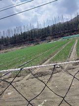 팜모닝 자유주제·자유게시판 게시글 이미지