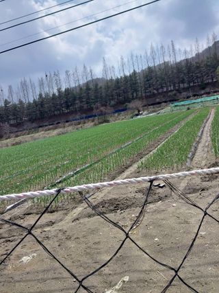 서영득님의 자유주제 · 자유게시판 작성글 사진