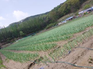 서영득님의 자유주제 · 자유게시판 작성글 사진