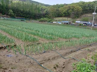 서영득님의 자유주제 · 자유게시판 작성글 사진