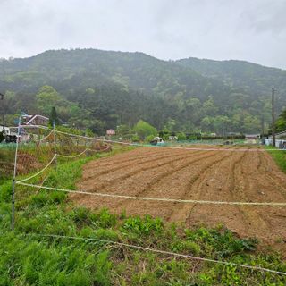 백용기님의 자유주제 · 자유게시판 작성글 사진