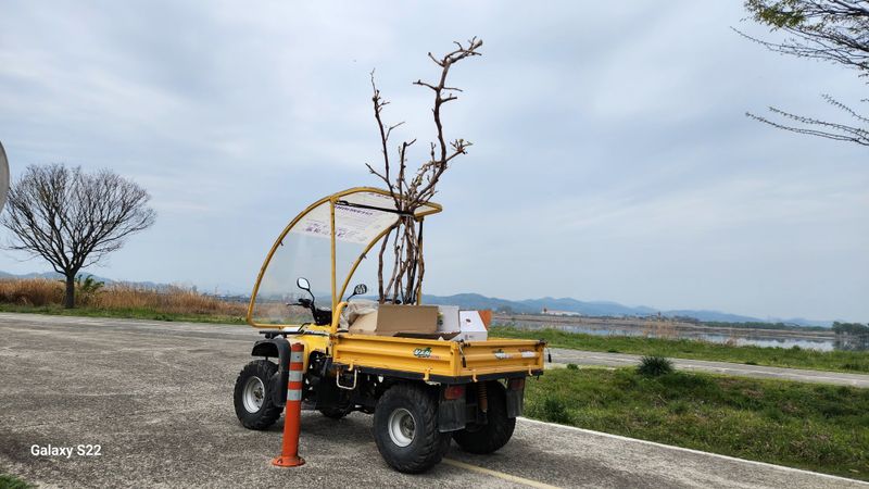 이순철님의 장터 판매 상품 [사발이 트럭 ] 첨부 사진