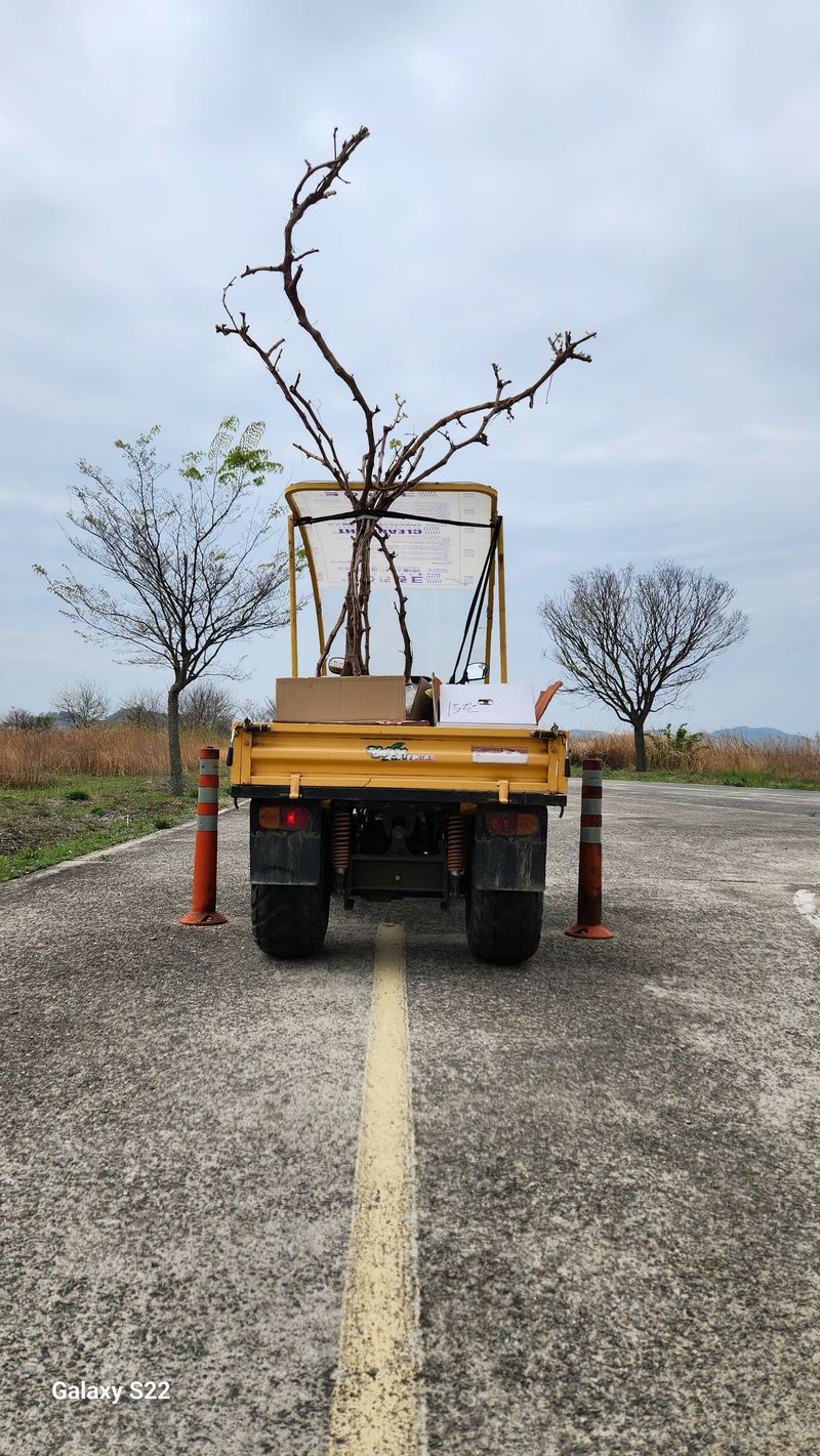 이순철님의 장터 판매 상품 [사발이 트럭 ] 첨부 사진