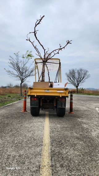 이순철님의 작성글 사진