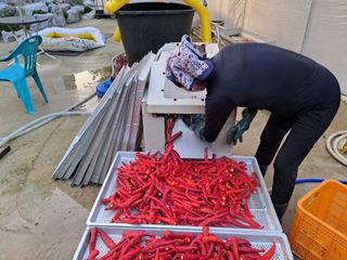 음두임님의 작성글 사진