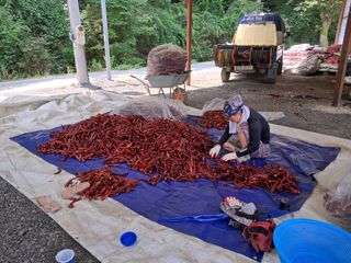 음두임님의 작성글 사진