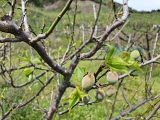 매실향기차향기님의 자유주제 · 자유게시판 작성글 사진