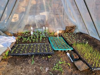 대운이네농원님의 자유주제 · 자유게시판 작성글 사진