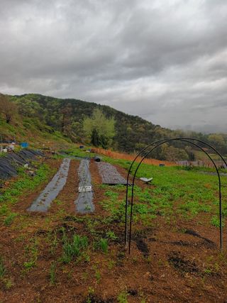 실로암농원님의 자유주제 · 자유게시판 작성글 사진