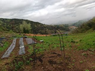 실로암농원님의 자유주제 · 자유게시판 작성글 사진