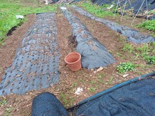 실로암농원님의 자유주제 · 자유게시판 작성글 사진