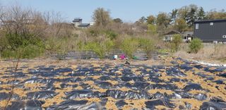 안산행운아님의 최근에 산 것 자랑하기 · 참여글 작성글 사진