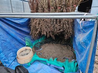 마중물0715님의 최근에 산 것 자랑하기 · 참여글 작성글 사진