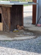 팜모닝 최근에 산 것 자랑하기·참여글 게시글 이미지