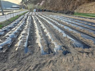 Bmww2226님의 최근에 산 것 자랑하기 · 참여글 작성글 사진