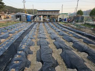 Bmww2226님의 최근에 산 것 자랑하기 · 참여글 작성글 사진