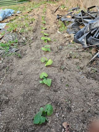 Bmww2226님의 최근에 산 것 자랑하기 · 참여글 작성글 사진