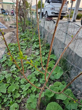 Bmww2226님의 최근에 산 것 자랑하기 · 참여글 작성글 사진