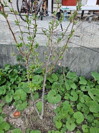 Bmww2226님의 최근에 산 것 자랑하기 · 참여글 작성글 사진