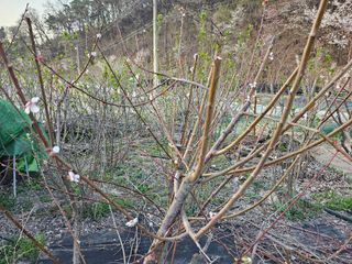 Bmww2226님의 최근에 산 것 자랑하기 · 참여글 작성글 사진