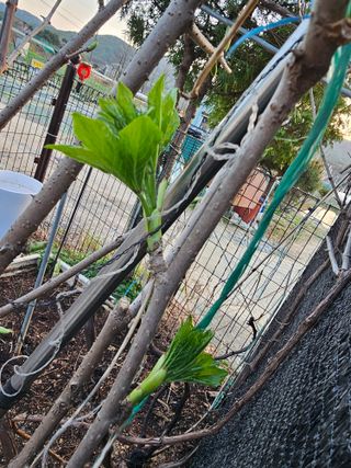 Bmww2226님의 최근에 산 것 자랑하기 · 참여글 작성글 사진