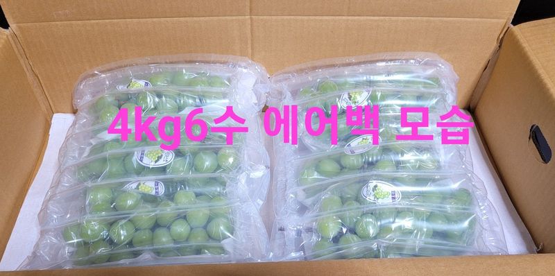 사랑꽃농장님의 장터 판매 상품 [상품)샤인머스켓 2kg3수] 첨부 사진