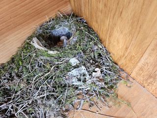 영숙님의 자유주제 · 자유게시판 작성글 사진