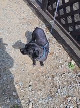 팜모닝 최근에 산 것 자랑하기·참여글 게시글 이미지