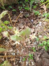 팜모닝 자유주제·사진전 게시글 이미지