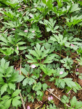 조태순 님의 자유주제 · 건의해요 작성글 사진