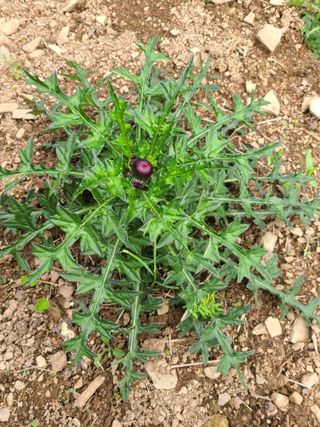 이미영님의 자유주제 · 사진전 작성글 사진