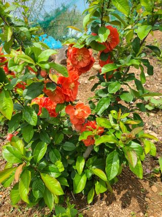 이미영님의 자유주제 · 사진전 작성글 사진