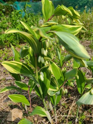 이미영님의 자유주제 · 사진전 작성글 사진