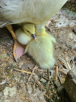 이미영님의 자유주제 · 사진전 작성글 사진