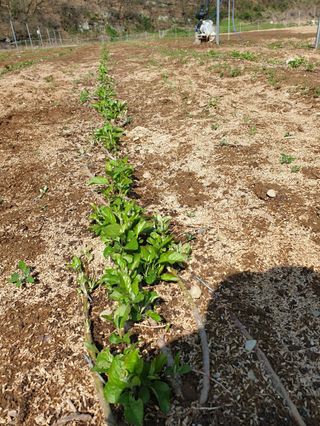 김화순님의 자유주제 · 자유게시판 작성글 사진