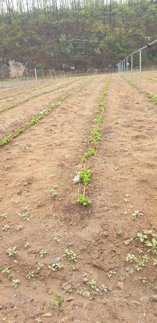 김화순님의 자유주제 · 자유게시판 작성글 사진