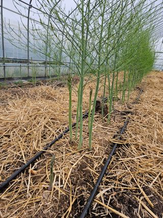 알 수 없음님의 자유주제 · 사진전 작성글 사진